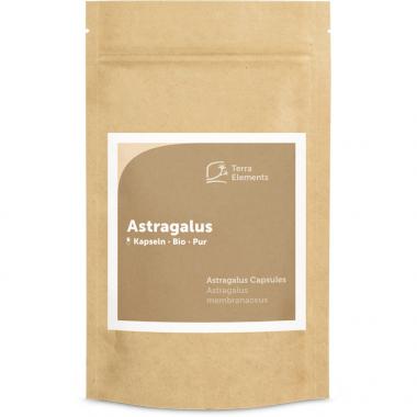 Astragale bio gélules (150 à 400 mg) 