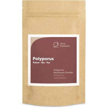 Polyporus bio en poudre, 100 g 